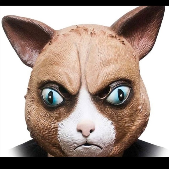 Cattitude mask Angry Cat Grumpy face - Picture 1 of 7